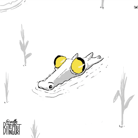 mthbitencourt  GIF