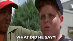 Giphy - the sandlot wtf GIF