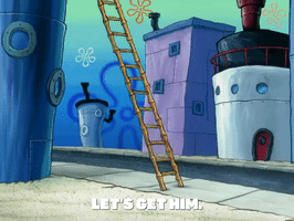season 5 GIF by SpongeBob SquarePants