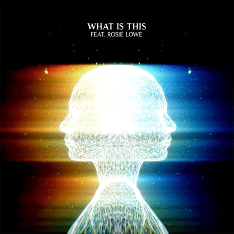 What Is This GIF by machinedrum