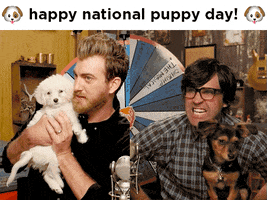 National Puppy Day GIF by Rhett and Link