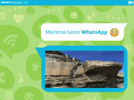 whatsapp GIF by Movistar Ecuador