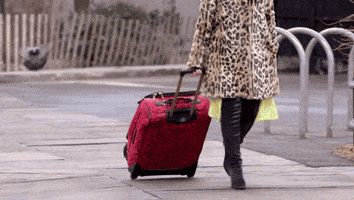 Tlc Travelling GIF by Girl Starter
