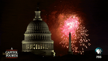 Independence Day Fireworks GIF by PBS