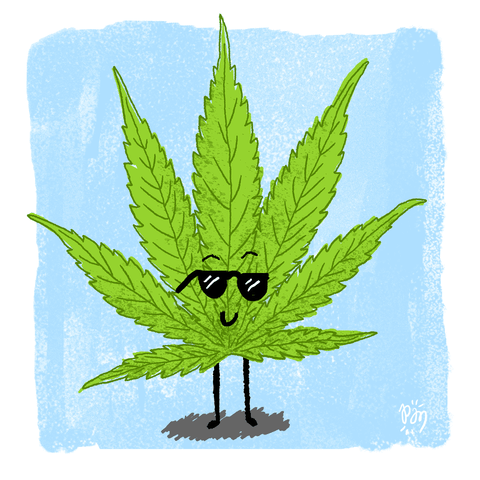 Weed Gifs Get The Best Gif On Giphy