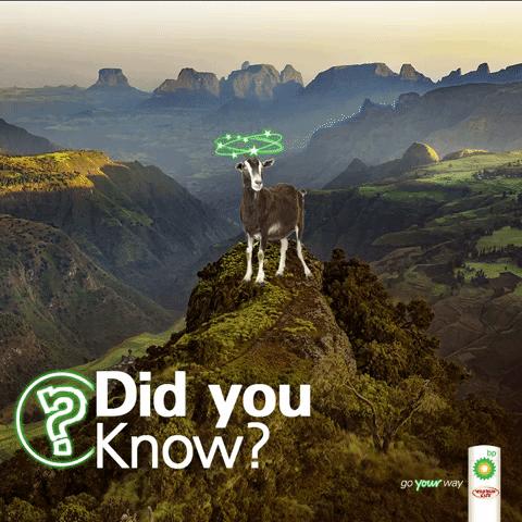 GIF by WILD BEAN CAFE