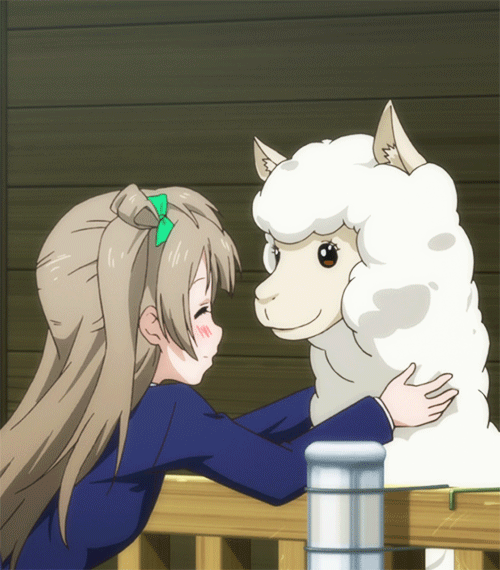 analuisa-c34e love live muses kotori minami GIF