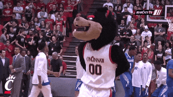 cincinnati bearcats dancing GIF by University of Cincinnati Athletics
