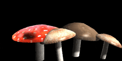 mushroom GIF by Arithmancy