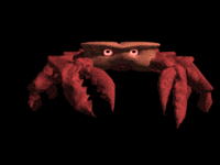 Spider Crab Gifs Get The Best Gif On Giphy