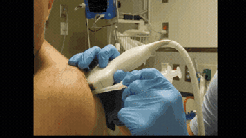 downeastem  GIF