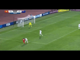 wesport  GIF