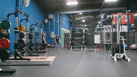 Broad Jumps Speed Training GIF by Hockey Training - Find & Share on GIPHY