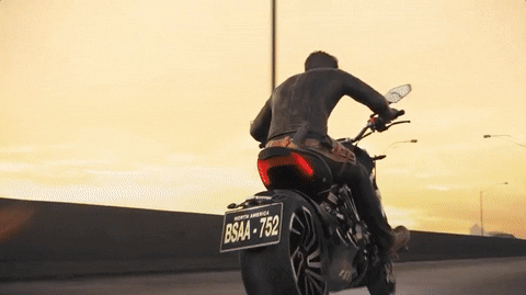 resident evil vendetta