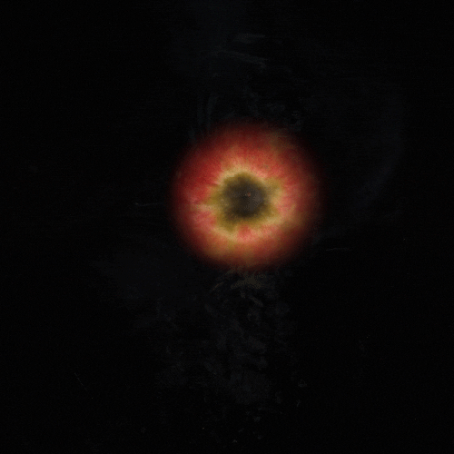 karascuro apple swirl scans kara zona GIF