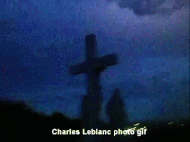 andrefaust charles leblanc GIF