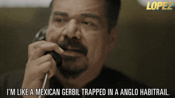 George Lopez Mexicans GIF by Lopez on TV Land