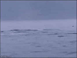 mrdaba there it goes GIF