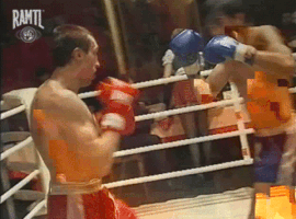 Sergey_Zayashnikov muay thai ramtl sergey zayashnikov GIF