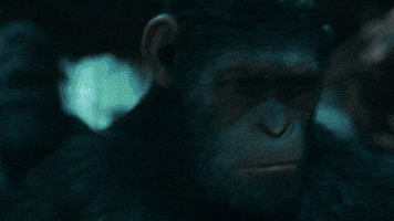 ceasar GIF by War for the Planet of the Apes