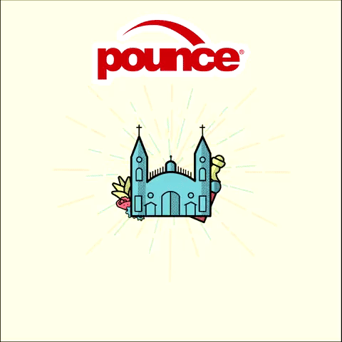 Pounce  GIF