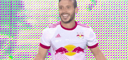 Major League Soccer No GIF by New York Red Bulls