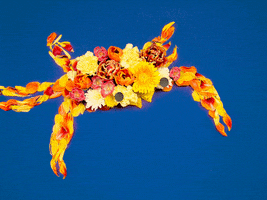 crabby stop motion GIF by Kyle Sauer