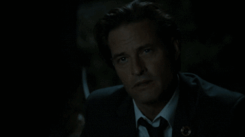 sarahwaynecalliesbrasil colony usa GIF