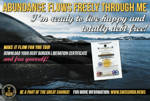 juliefortin money freedom merdeka debt free GIF