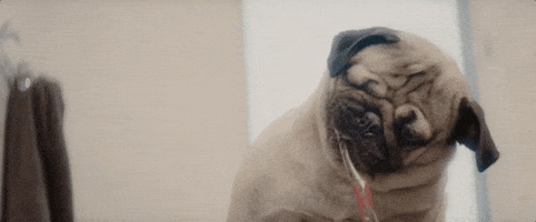 200.gif?cid=fc005b08cb137209b1b1199bfec7bcc558369d01d628e42d&rid=200.gif&ct=g