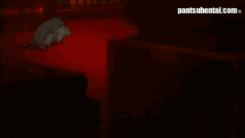 PantsuHentai anime hentai ecchi meikoku gakuen jutai hen GIF