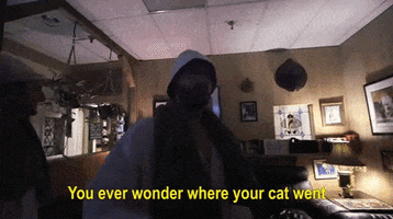 dan james cat GIF by Much