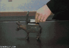 marynadominova  GIF