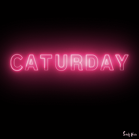 Cats Neon GIF by Adventures Once Had