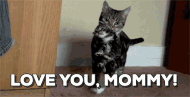 Mothers Day Mom GIF