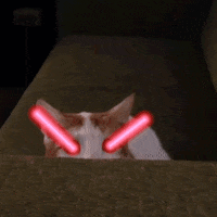 of doom! cat GIF by Percolate Galactic