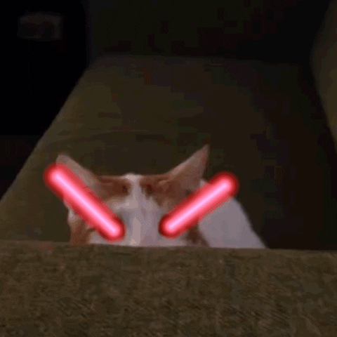 Of Doom! Cat GIF by Percolate Galactic - Find & Share on GIPHY