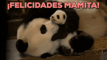 mothers day GIF by Neon Panda MX