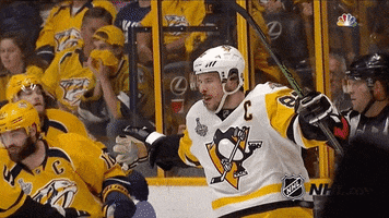pittsburgh penguins goal GIF by NHL