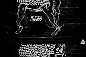 werthereffekt glitch vhs mosh GIF