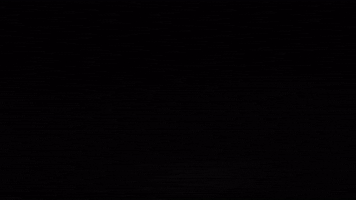 SlumDawgBillionaire GIF