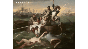 ITHAKA art shark sharkweek copley GIF
