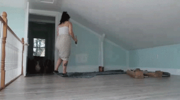 dog moving GIF by Much