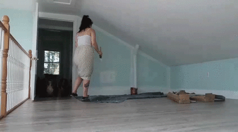 Dog Moving GIF by Much - Find & Share on GIPHY