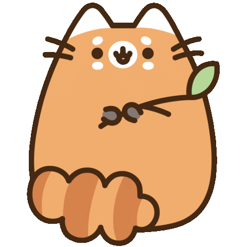 pusheen animal