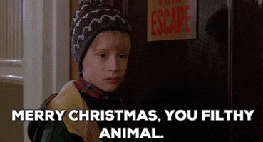 Home Alone 2 GIFs - Find & Share on GIPHY