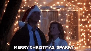 Movie gif. Chevy Chase as Clark and Beverly D'Angelo as Ellen in National Lampoon's Christmas Vacation stand in front of a house covered in Christmas lights. He wears a Santa hat as she reaches up and kisses him. Text, "Merry Christmas, Sparky."