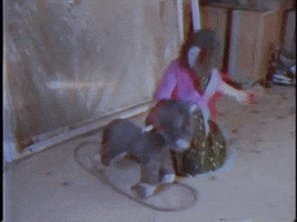 200.gif?cid=fc005b0883ea2577f9a8d66fcb557029712f7497c2601dec&rid=200.gif&ct=g