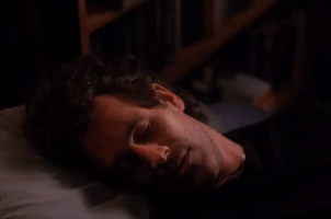 Season 2 GIF by Twin Peaks on Showtime