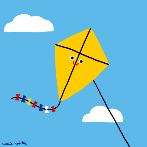  Fly Kites 